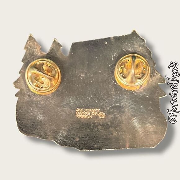 Bundle Sale 3 for $15 | Cedar Mills Lions Club Pin - Picture 7 of 9